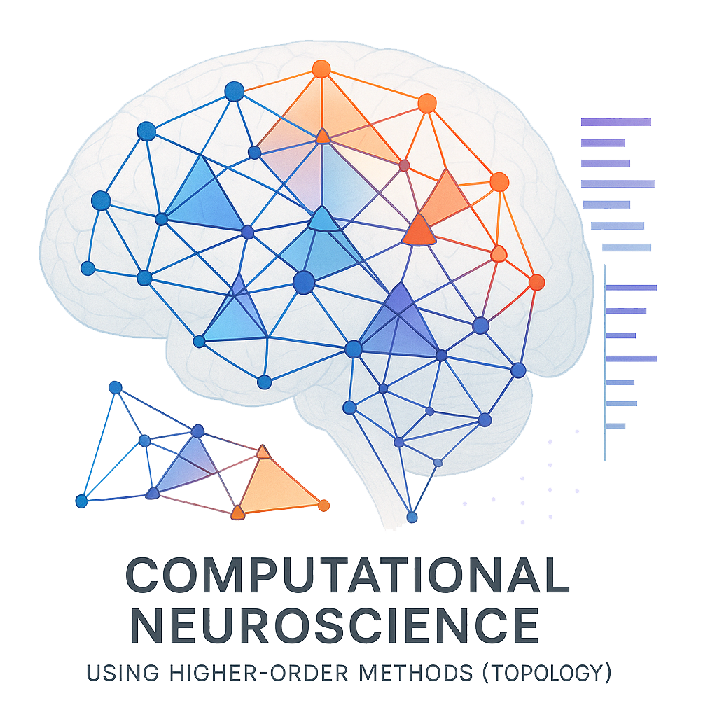 Brain connectivity network representation